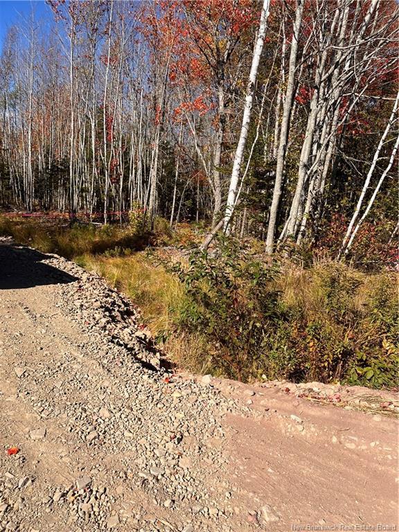 









Lot


Bells Mills

RD,
Richibouctou-Village,







NB
E4W 1B8

