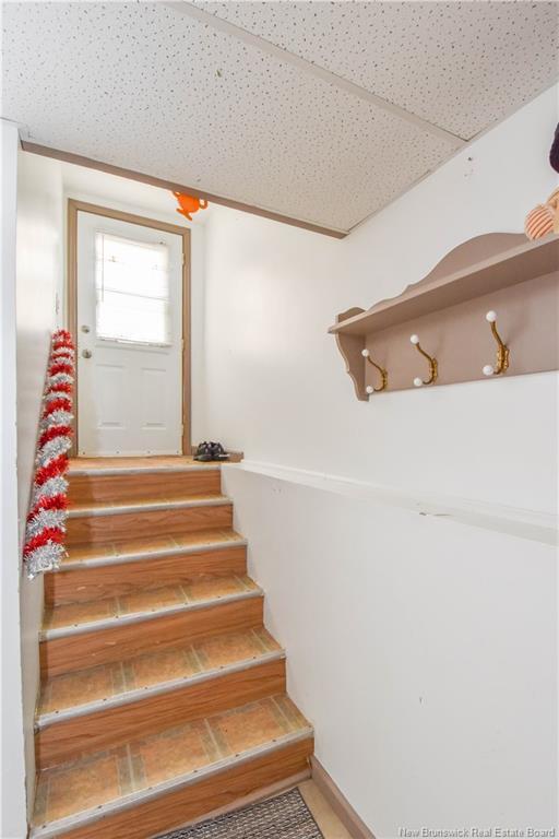 









373


rue Coughlan

ST,
Tracadie,




NB
E1X 1B3

