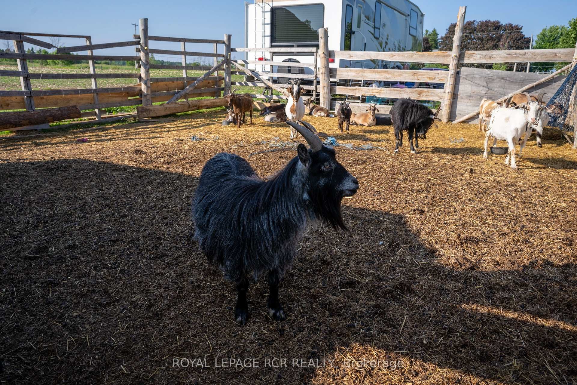 









2606


Crossland

Road,
Springwater,




ON
L0L 1P0

