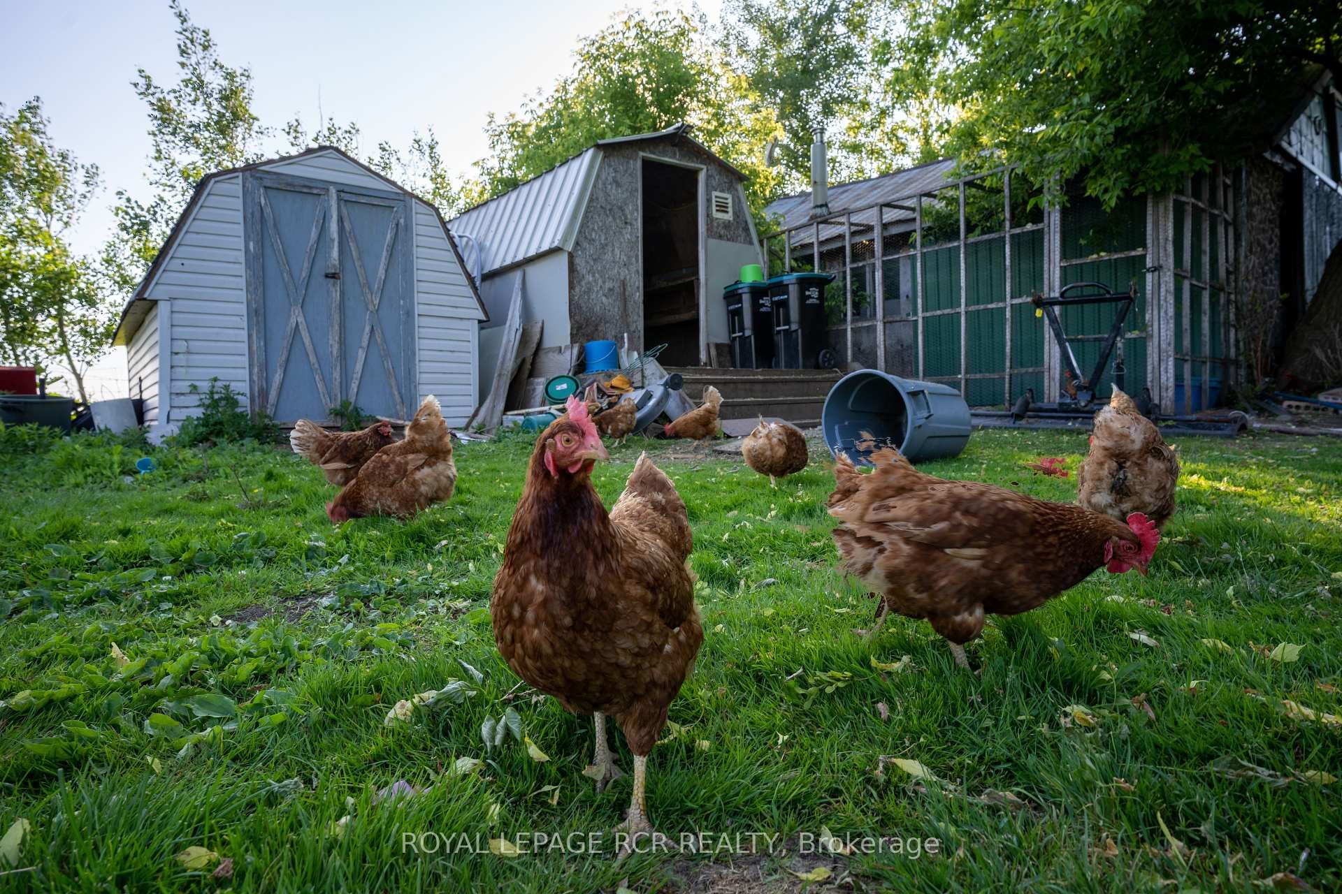 









2606


Crossland

Road,
Springwater,




ON
L0L 1P0

