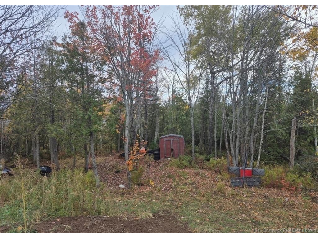 









4000


Principale

,
Tracadie,




NB
E1X 1B7

