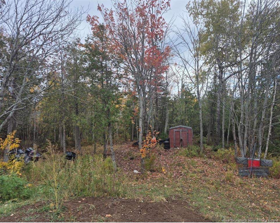 









4000


Principale

,
Tracadie,




NB
E1X 1B7

