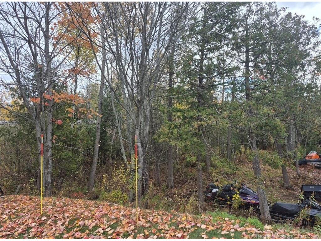 









4000


Principale

,
Tracadie,




NB
E1X 1B7

