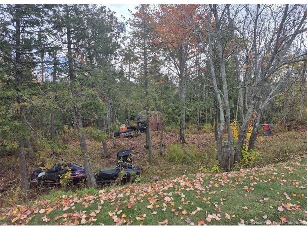 









4000


Principale

,
Tracadie,




NB
E1X 1B7

