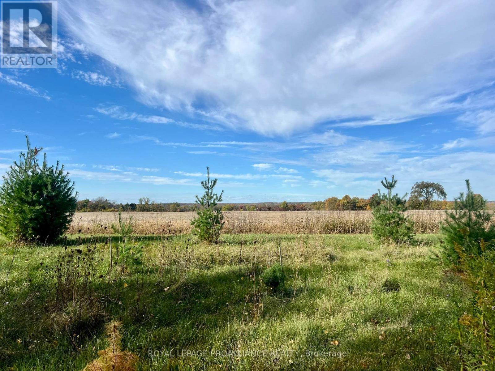 












41 SILLS ROAD

,
Centre Hastings,




Ontario
K0K3E0

