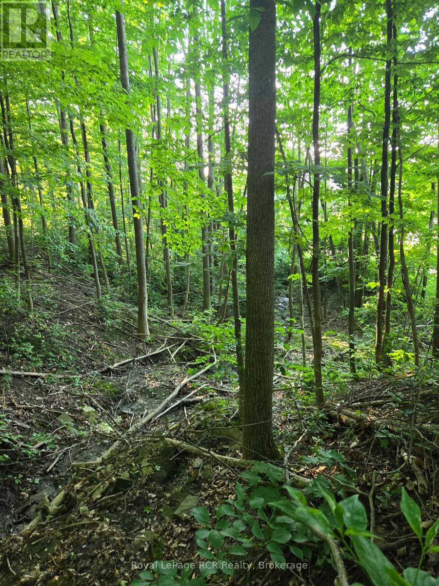 












130 OLD HIGHWAY 26 HIGHWAY

,
Meaford,







Ontario
N4L1W7

