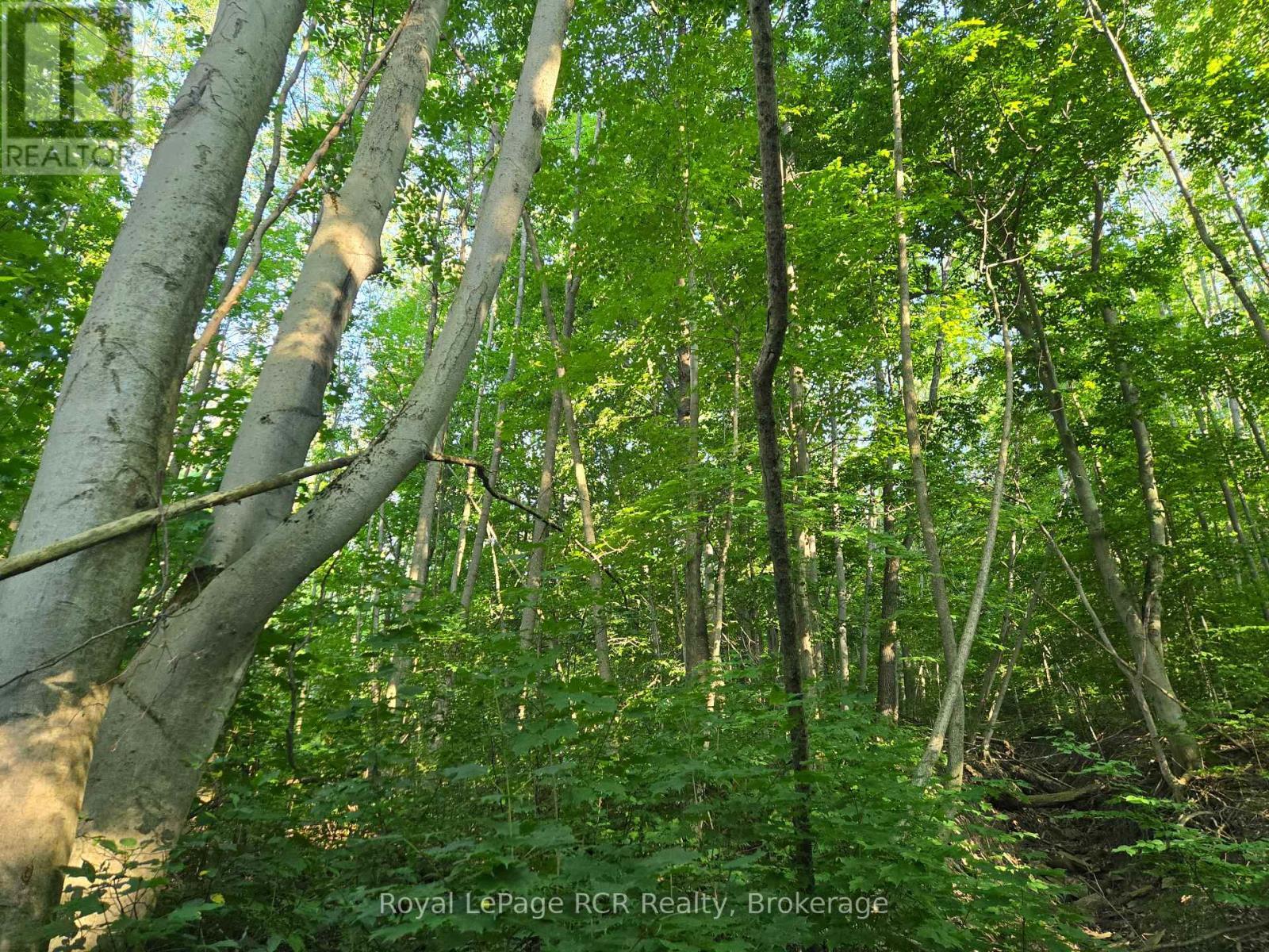 












130 OLD HIGHWAY 26 HIGHWAY

,
Meaford,







Ontario
N4L1W7

