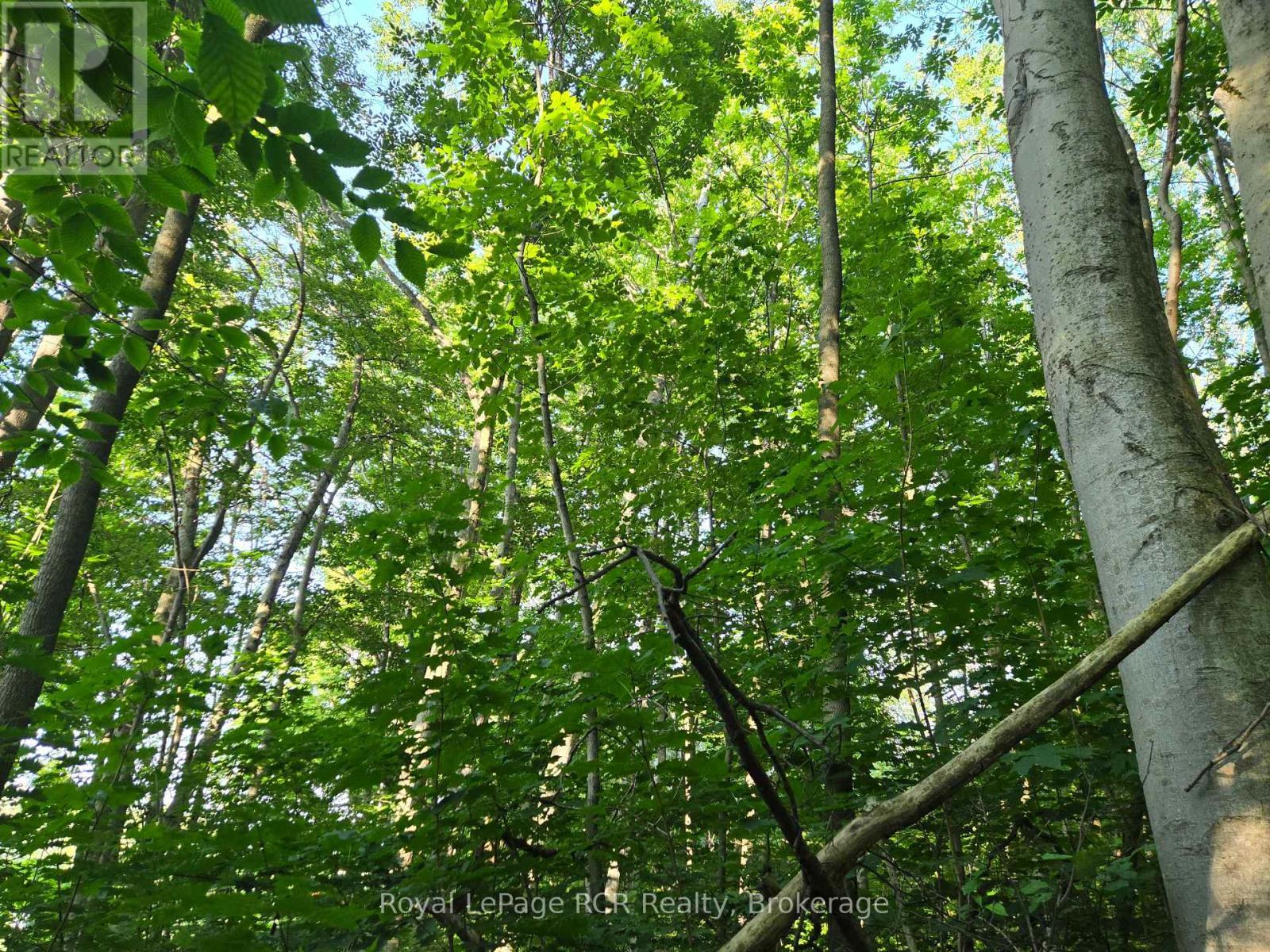 












130 OLD HIGHWAY 26 HIGHWAY

,
Meaford,







Ontario
N4L1W7

