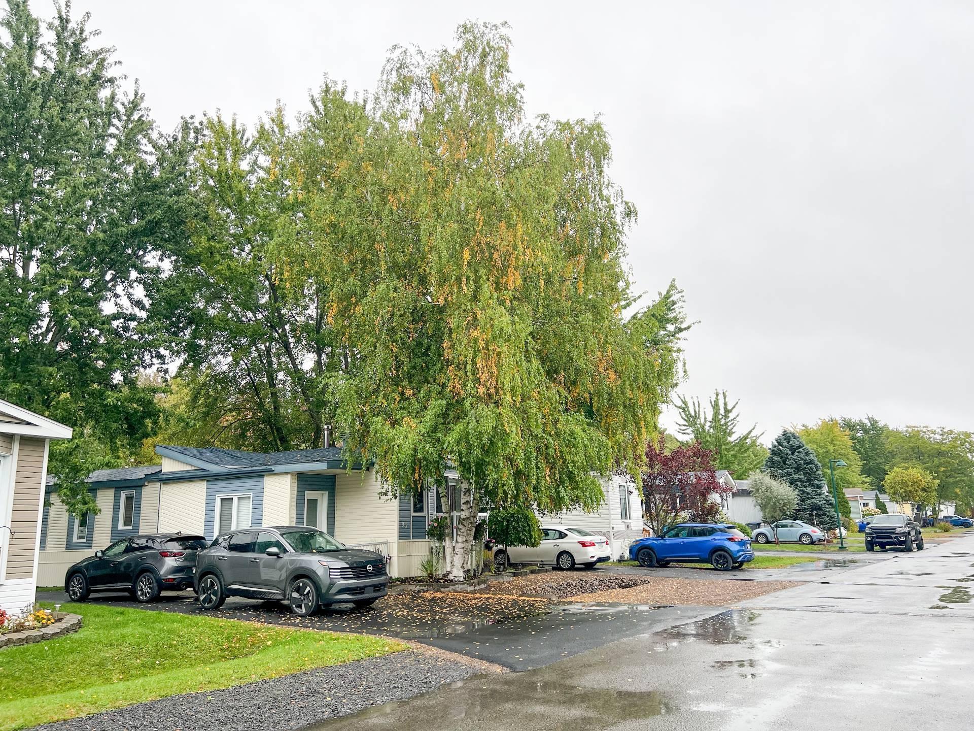 









93


9e Rue

,
Saint-Jean-sur-Richelieu,




QC
J2Y1A5

