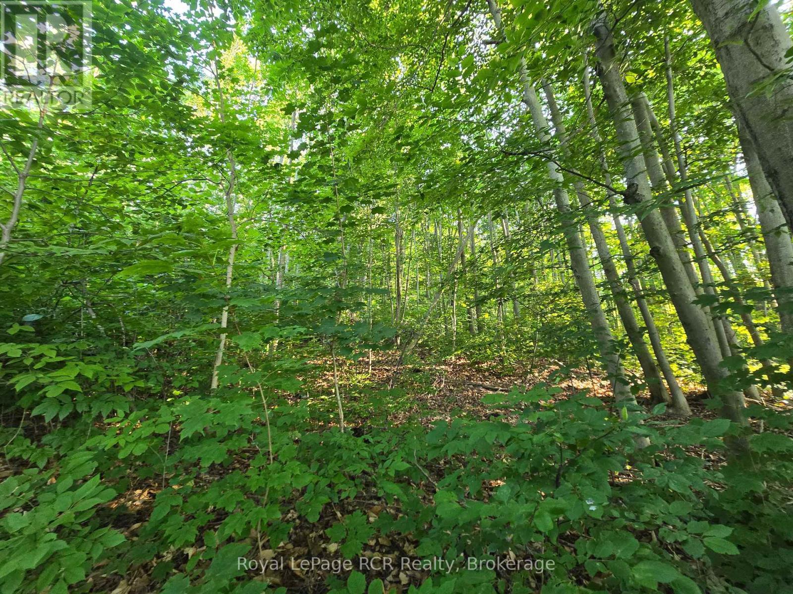 












126 OLD HIGHWAY 26 HIGHWAY

,
Meaford,







Ontario
N4L1W7

