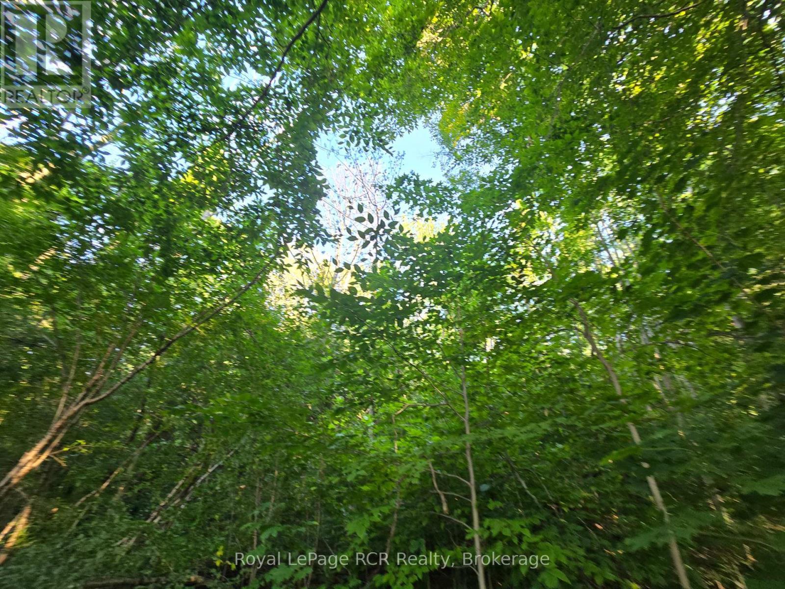 












126 OLD HIGHWAY 26 HIGHWAY

,
Meaford,







Ontario
N4L1W7

