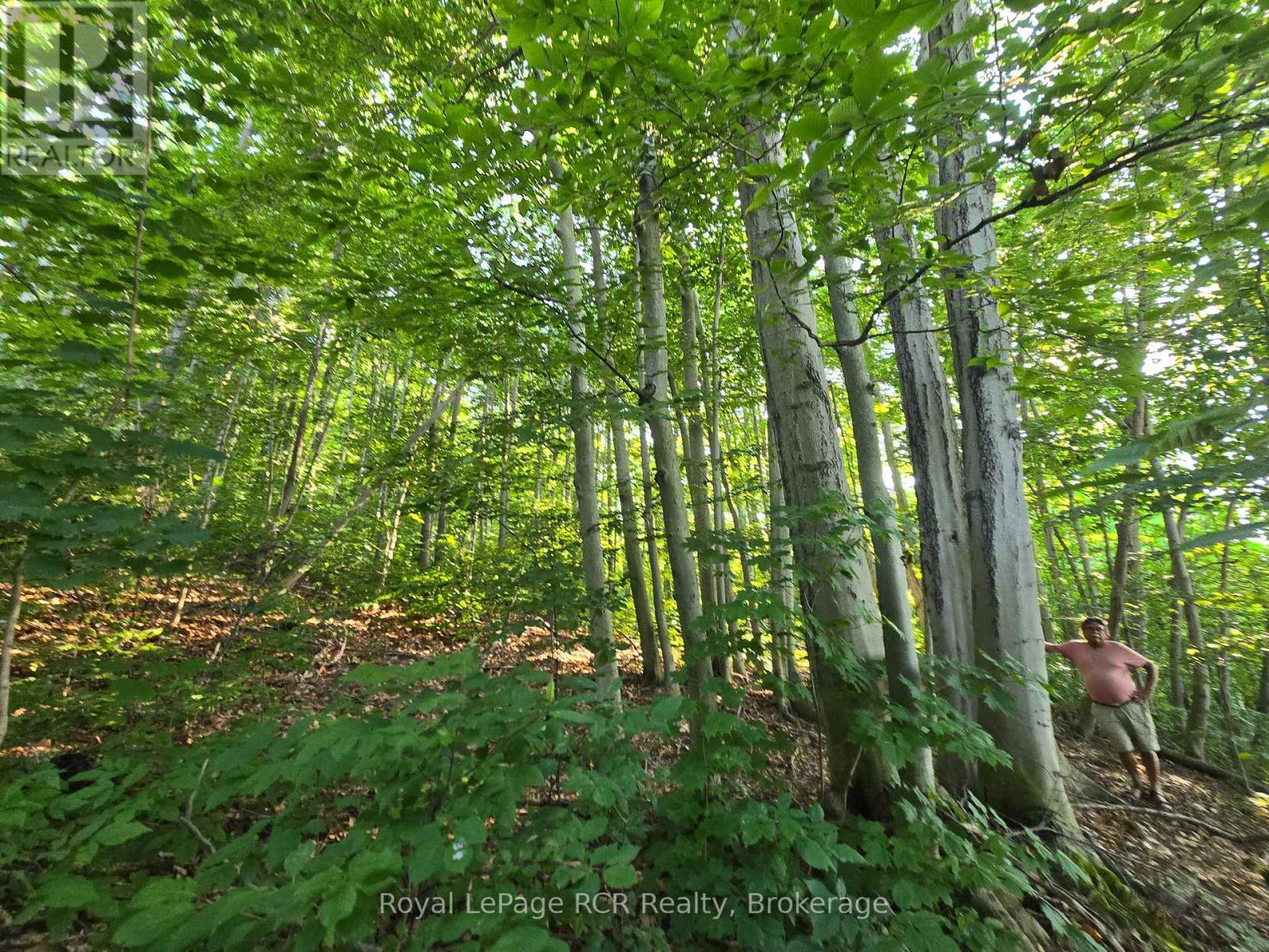 












126 OLD HIGHWAY 26 HIGHWAY

,
Meaford,







Ontario
N4L1W7

