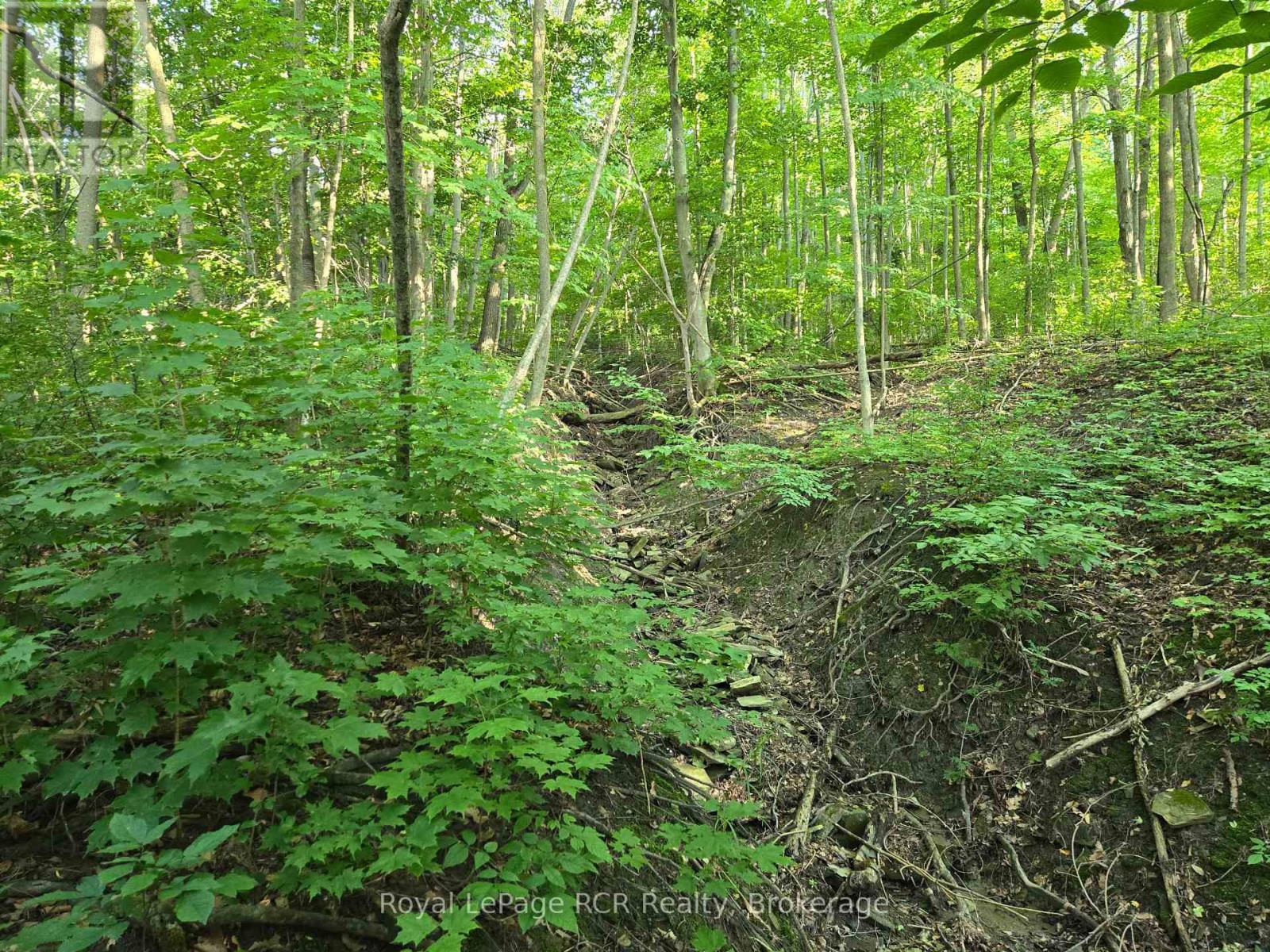 












126 OLD HIGHWAY 26 HIGHWAY

,
Meaford,







Ontario
N4L1W7

