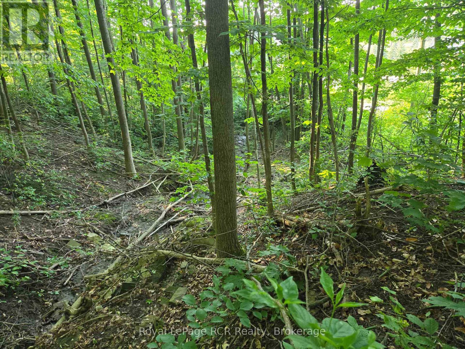 












126 OLD HIGHWAY 26 HIGHWAY

,
Meaford,







Ontario
N4L1W7

