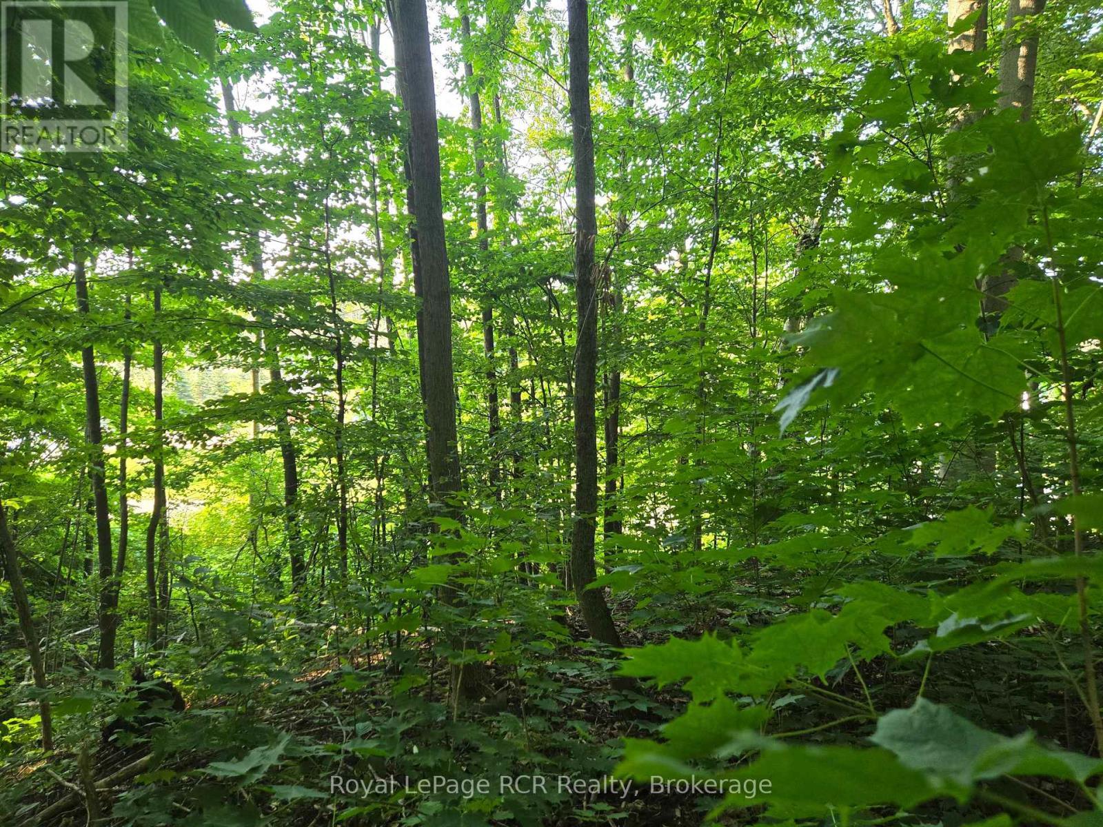 












126 OLD HIGHWAY 26 HIGHWAY

,
Meaford,







Ontario
N4L1W7

