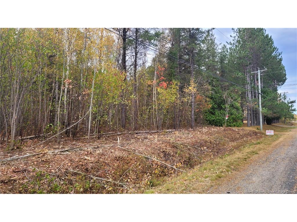









0


Rte 118

,
South Nelson,







NB
E1N 6C7

