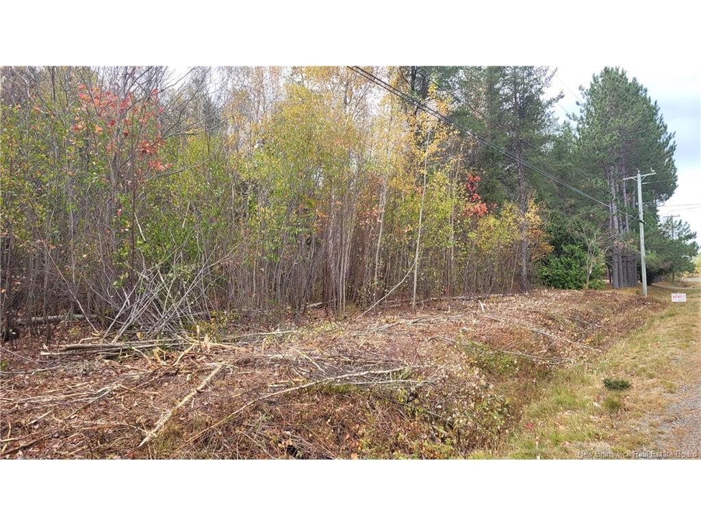 









0


Rte 118

,
South Nelson,







NB
E1N 6C7

