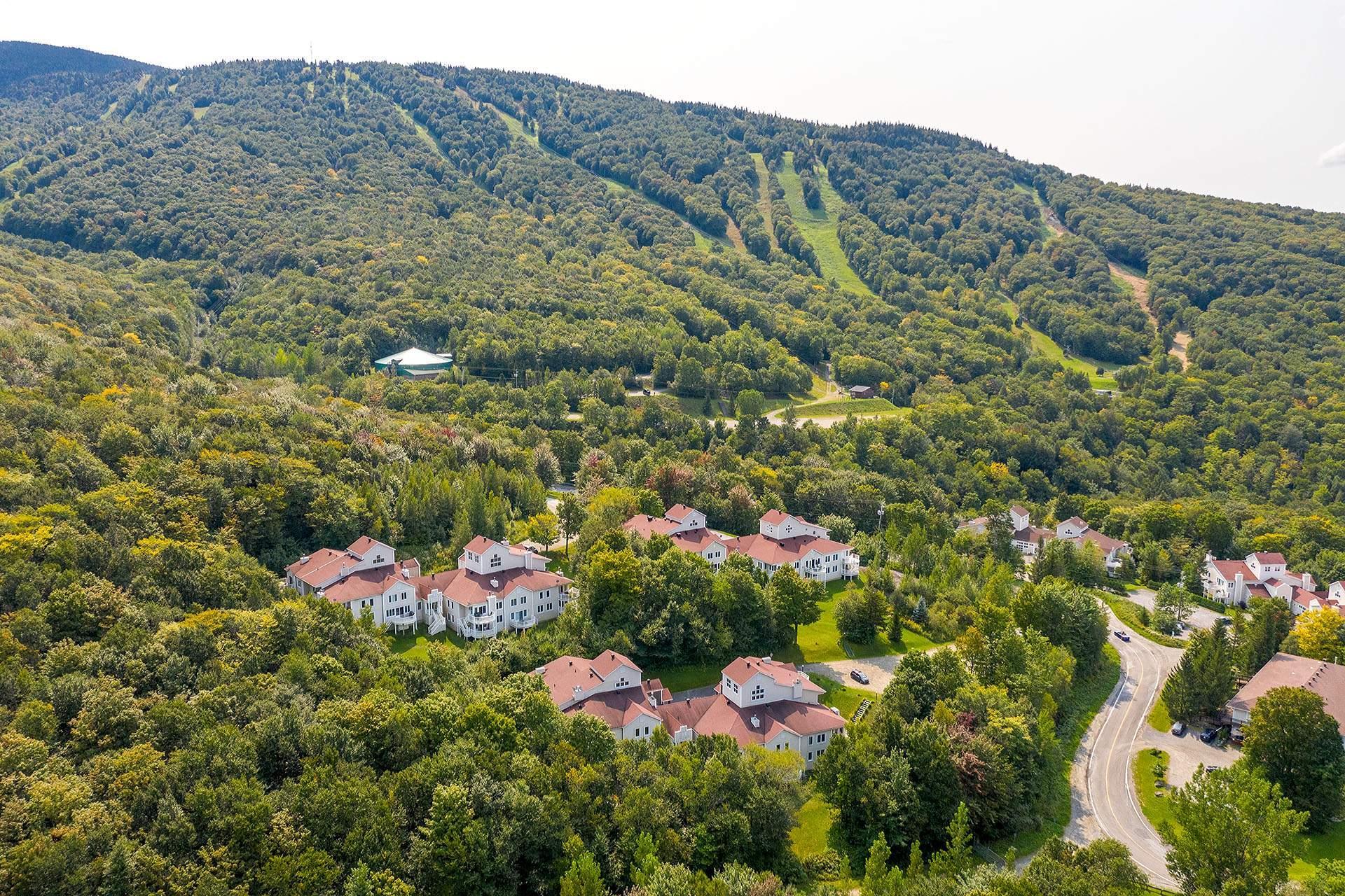 









556


Ch. Réal

, 309,
Sutton,




QC
J0E2K0

