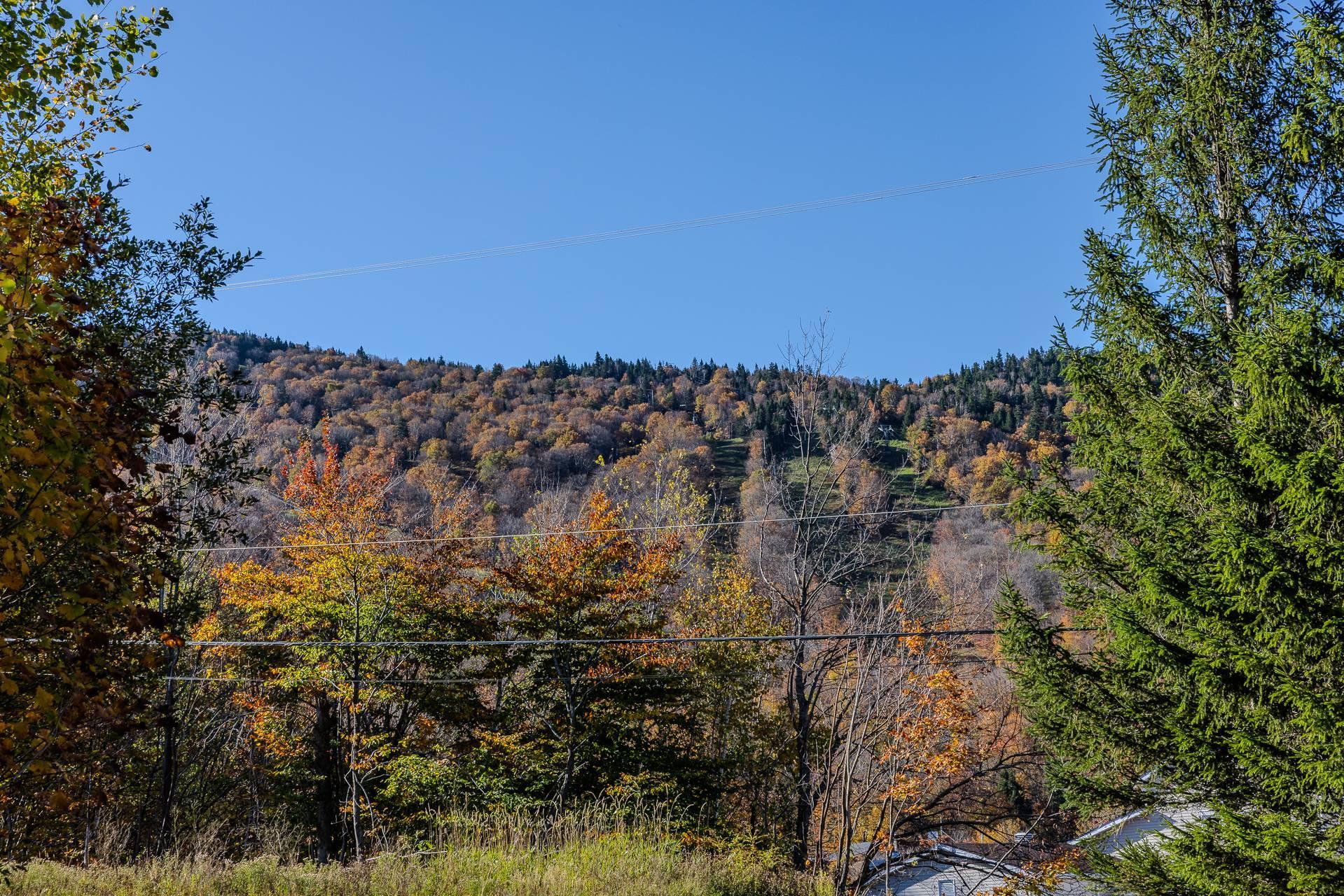 









556


Ch. Réal

, 309,
Sutton,




QC
J0E2K0

