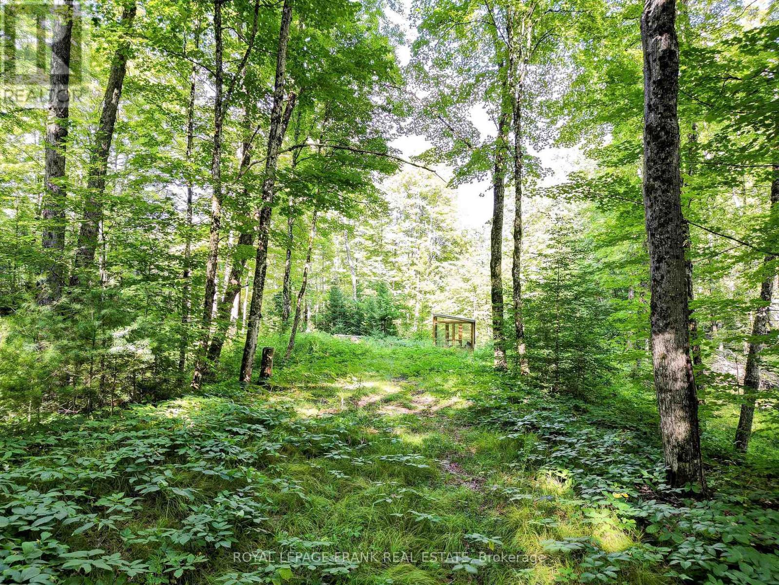 












843 LASSWADE ROAD

,
North Kawartha,







Ontario
K0L1A0

