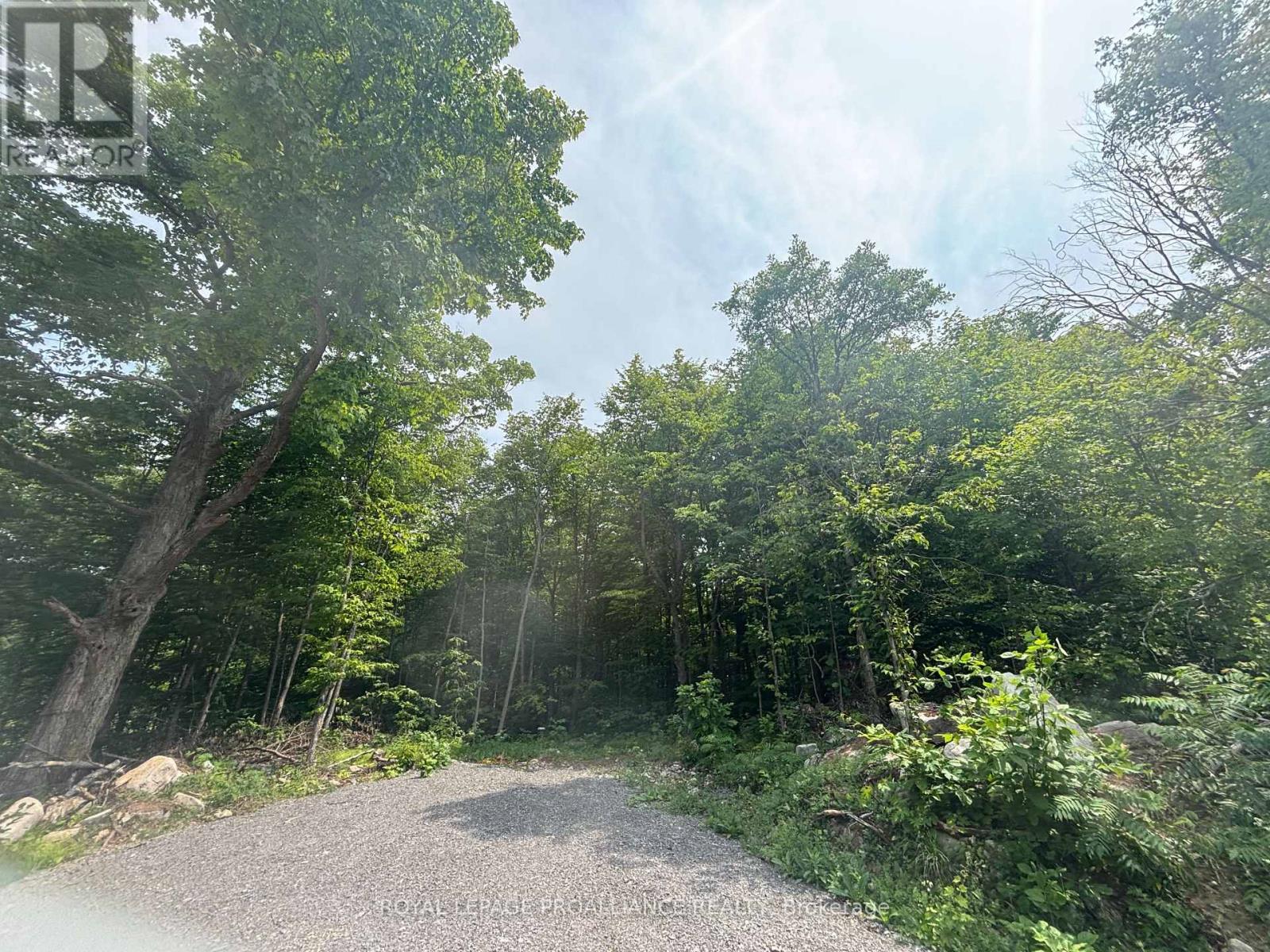 












SEVERED B - 554 PIGDEN ROAD

,
Madoc,







Ontario
K0K2K0


