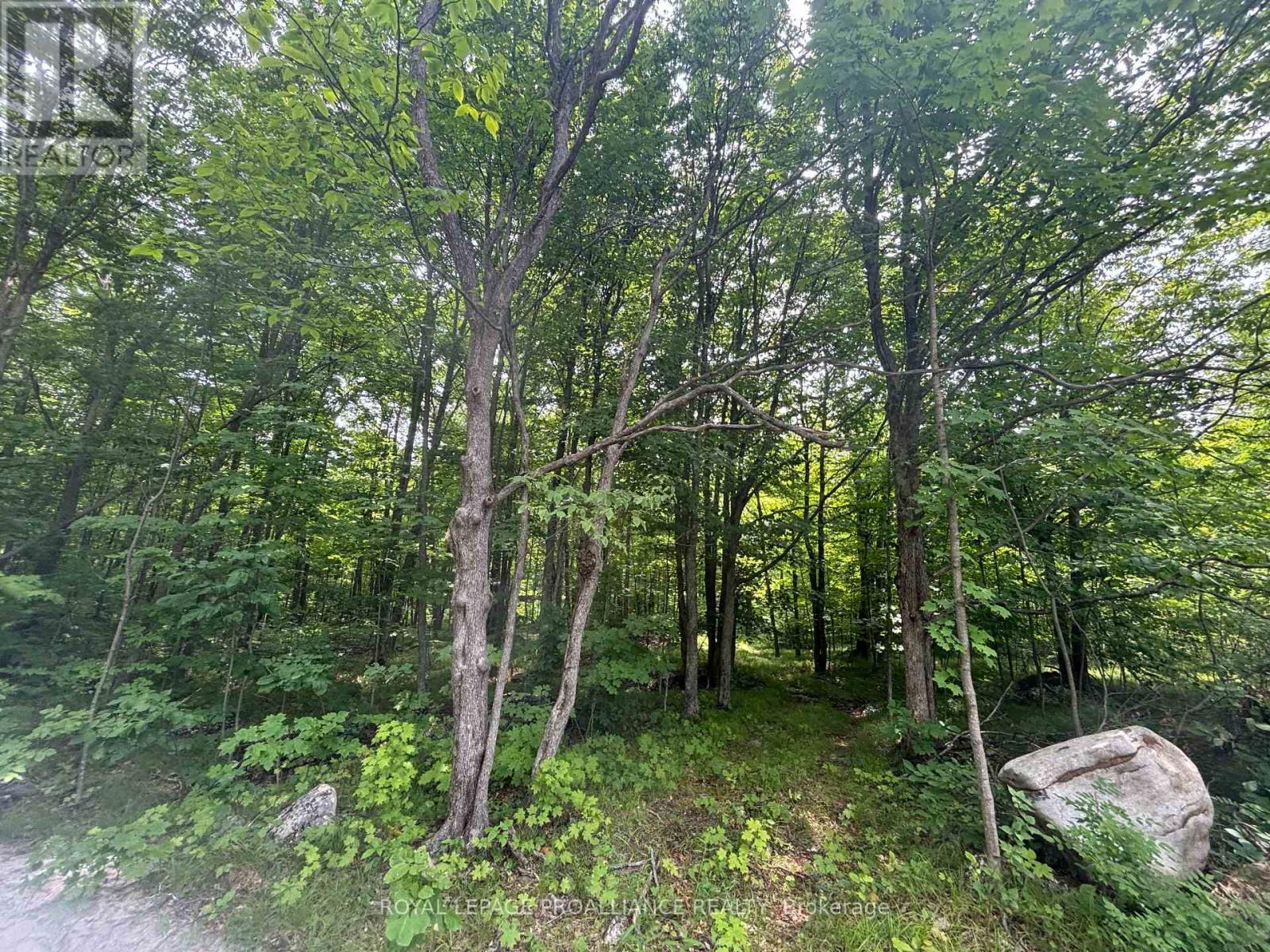 












SEVERED B - 554 PIGDEN ROAD

,
Madoc,







Ontario
K0K2K0

