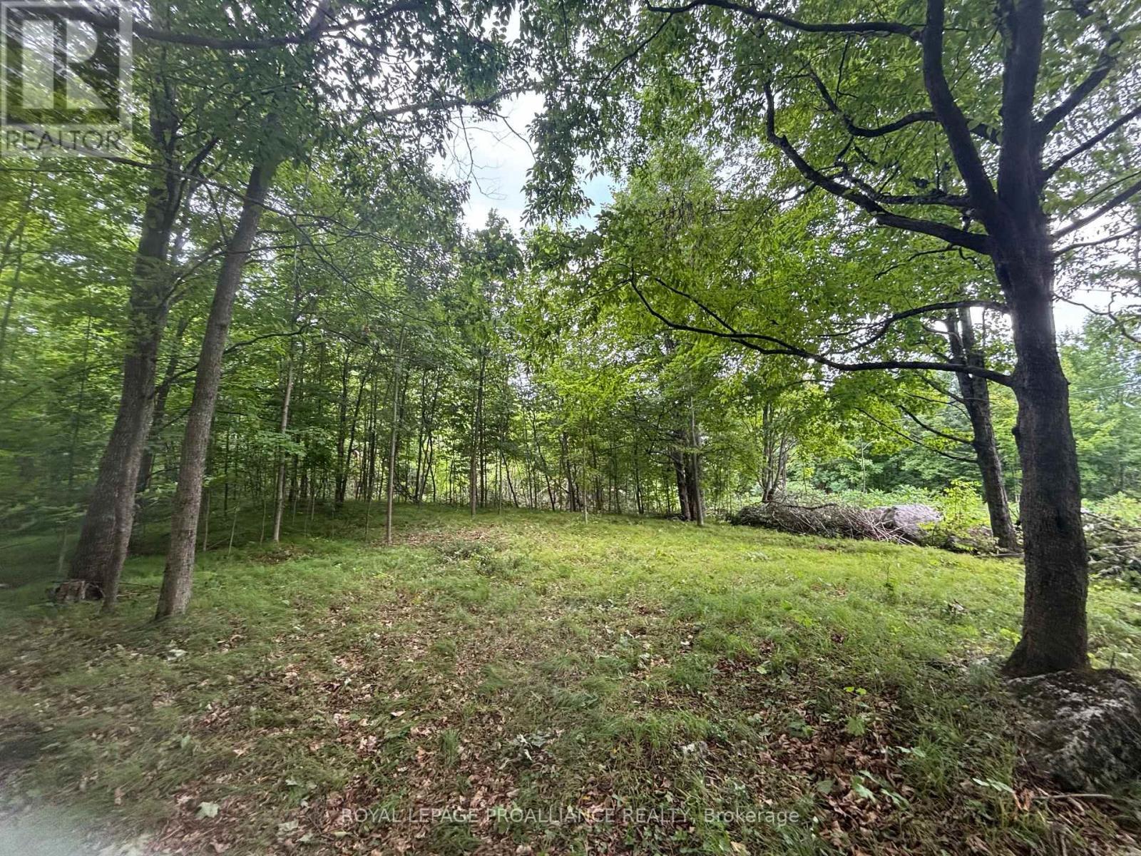












SEVERED B - 554 PIGDEN ROAD

,
Madoc,







Ontario
K0K2K0

