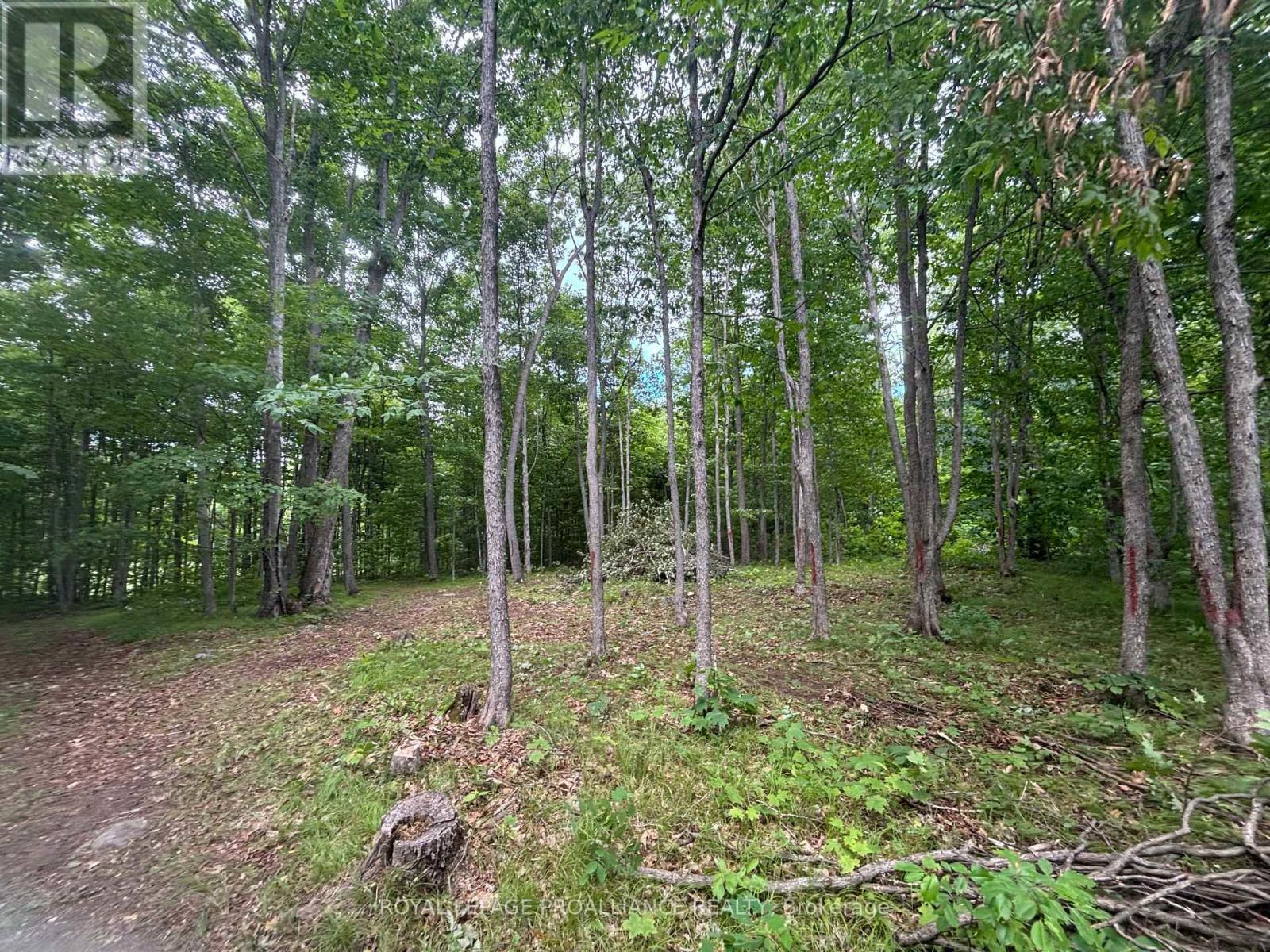 












SEVERED B - 554 PIGDEN ROAD

,
Madoc,







Ontario
K0K2K0

