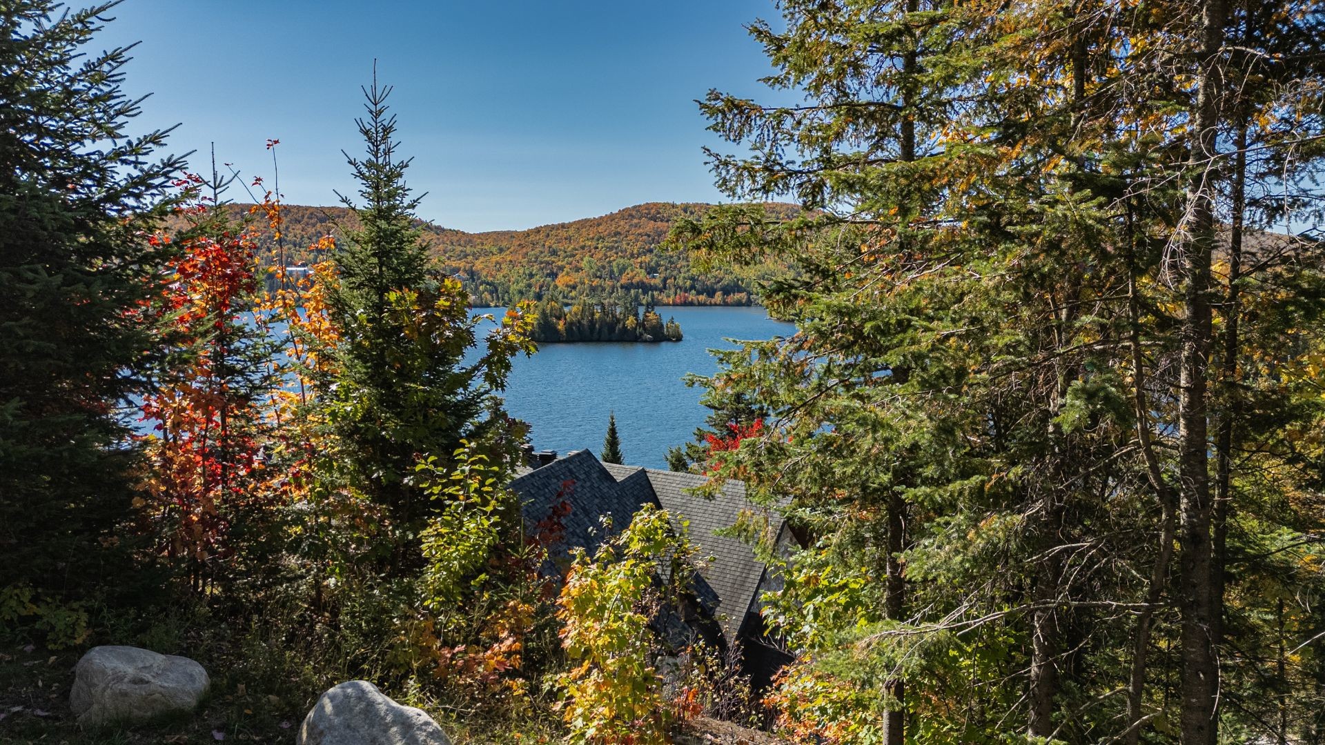 









61


Imp. d'Auvergne

,
Sainte-Agathe-des-Monts,




QC
J8C3G8

