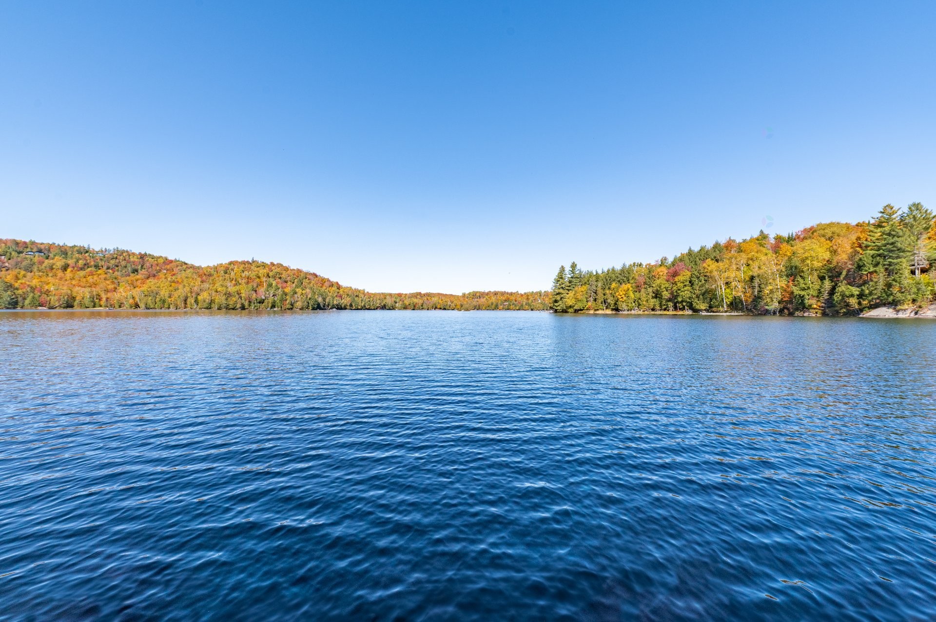 









61


Imp. d'Auvergne

,
Sainte-Agathe-des-Monts,




QC
J8C3G8

