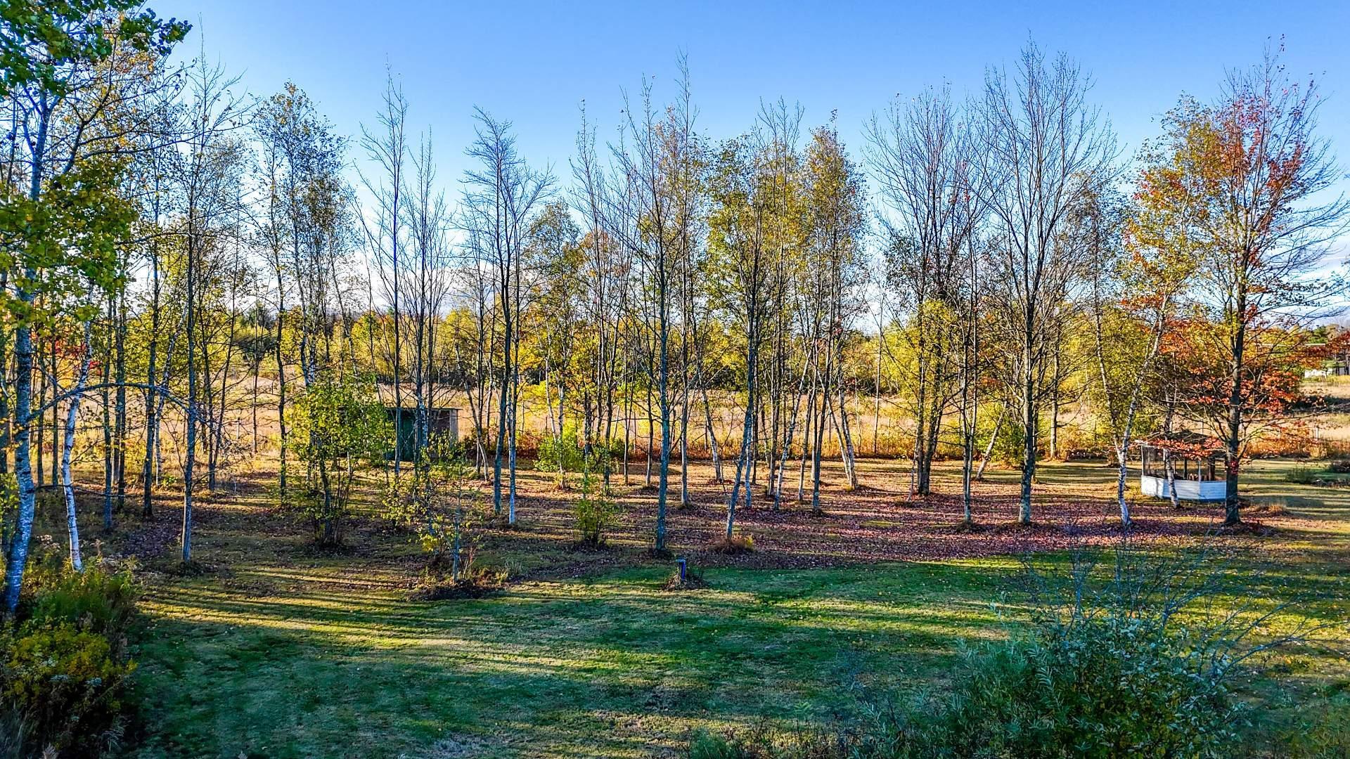 









1451


Rue Germain

,
Magog,




QC
J1X8A4

