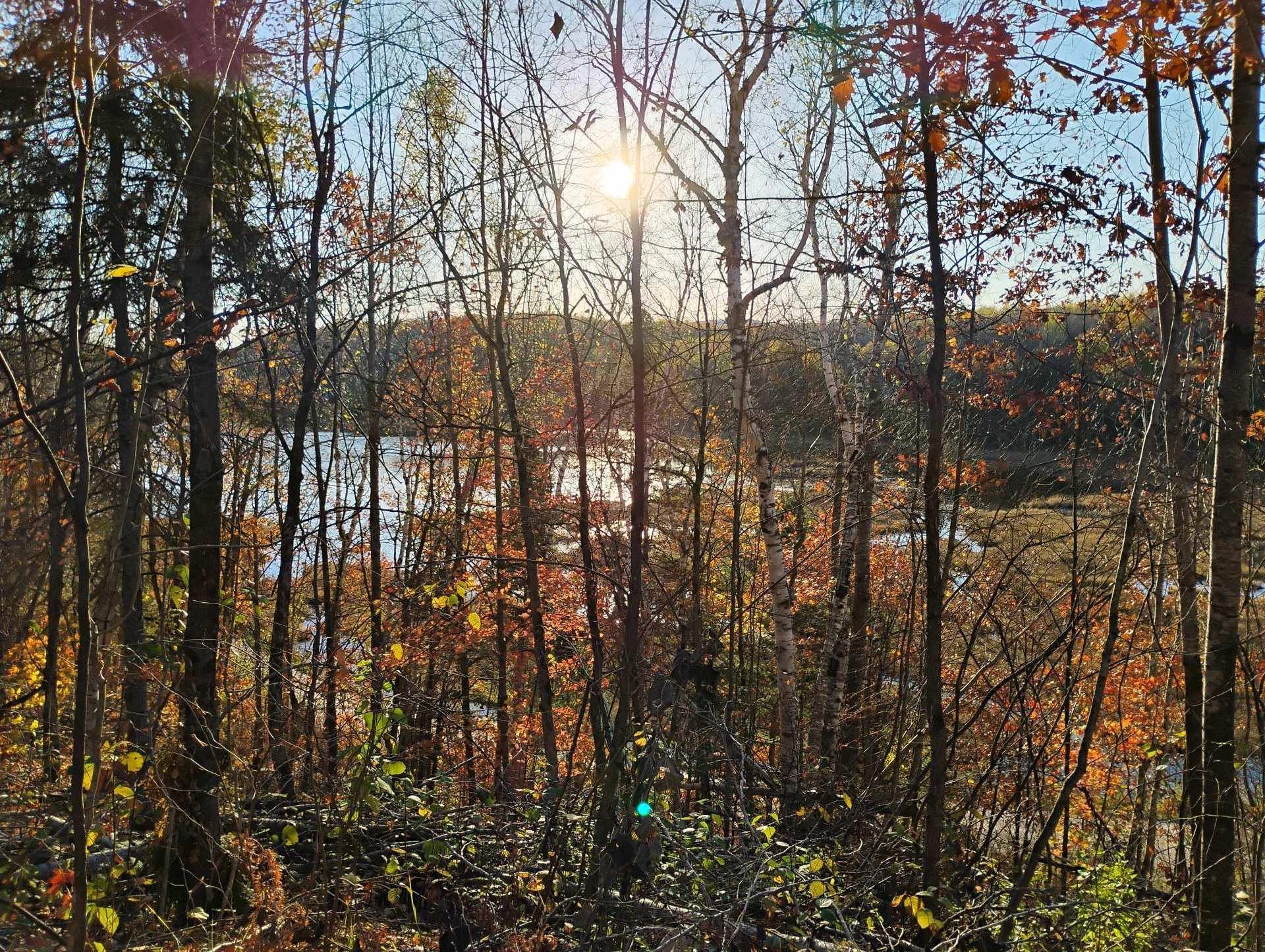 












Ch. de Cawood

,
Alleyn-et-Cawood,







QC
J0X1P0

