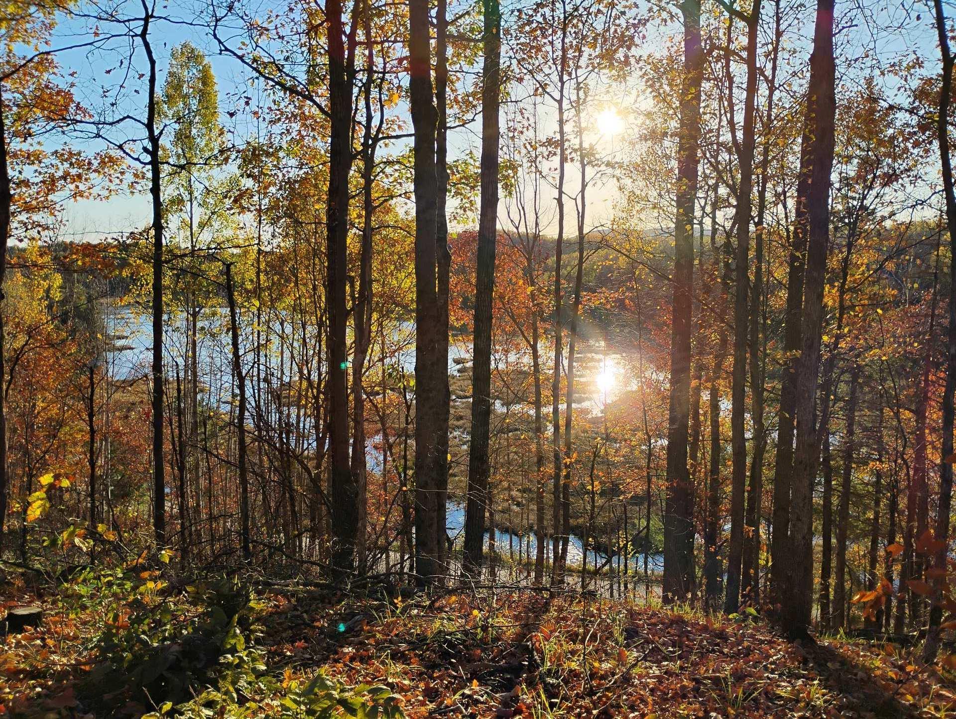 












Ch. de Cawood

,
Alleyn-et-Cawood,







QC
J0X1P0

