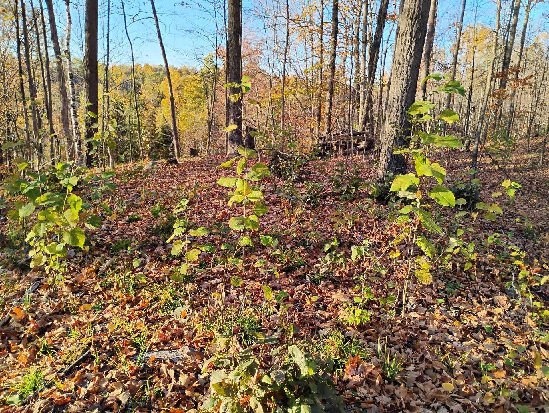 












Ch. de Cawood

,
Alleyn-et-Cawood,







QC
J0X1P0

