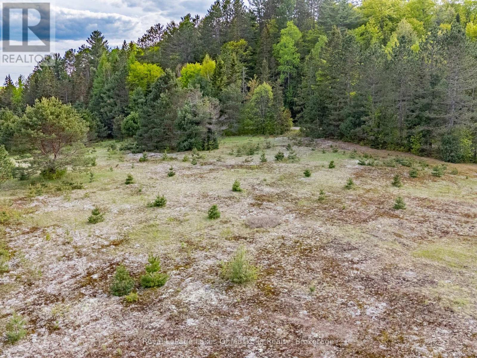 












397 RELATIVE ROAD

,
Armour,







Ontario
P0A1C0

