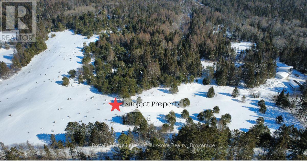 












397 RELATIVE ROAD

,
Armour,







Ontario
P0A1C0

