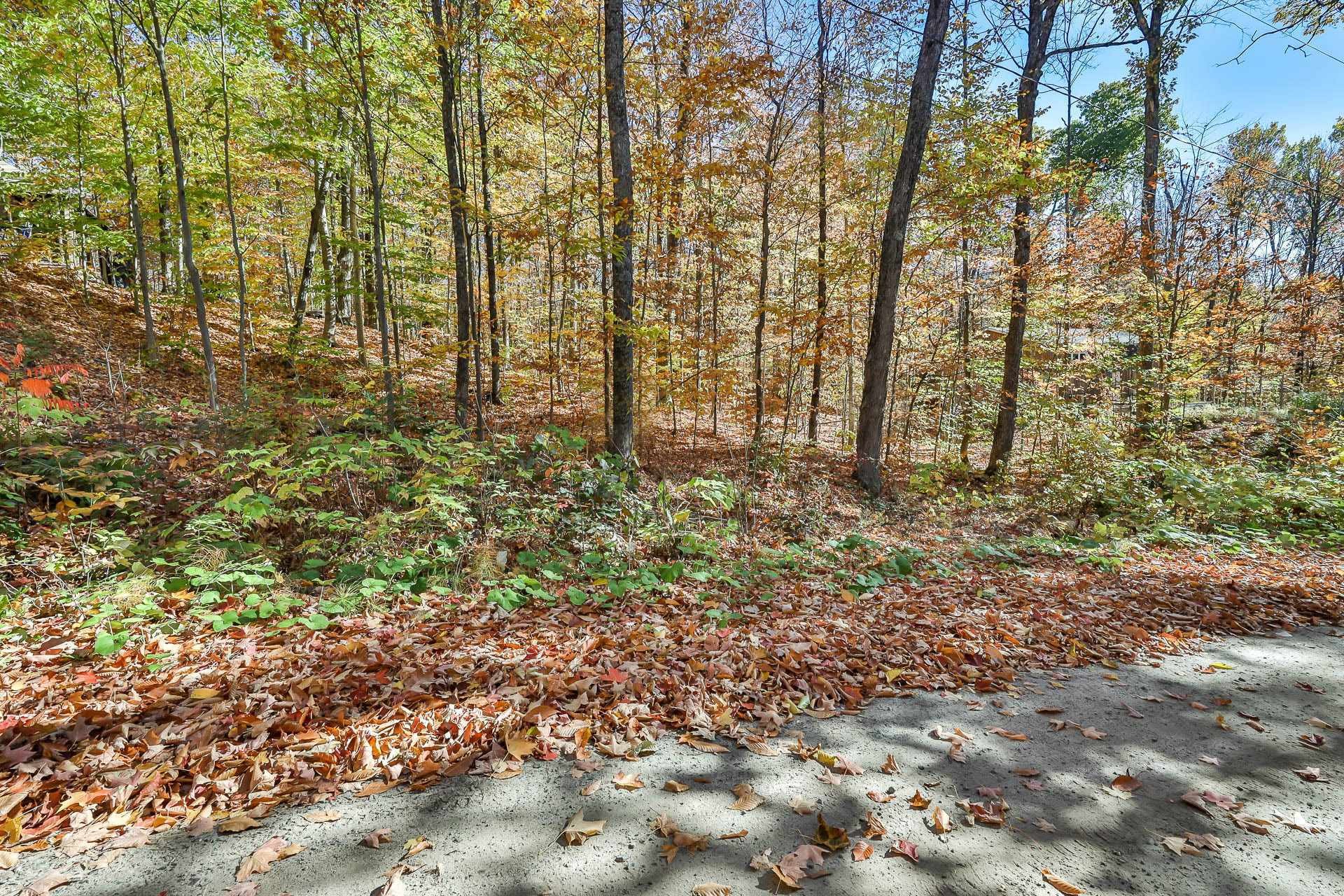 









1


Ch. des Lièvres

,
Montebello,







QC
J0V1L0

