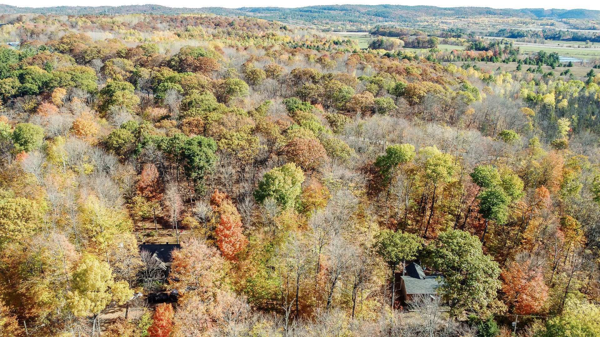









1


Ch. des Lièvres

,
Montebello,







QC
J0V1L0

