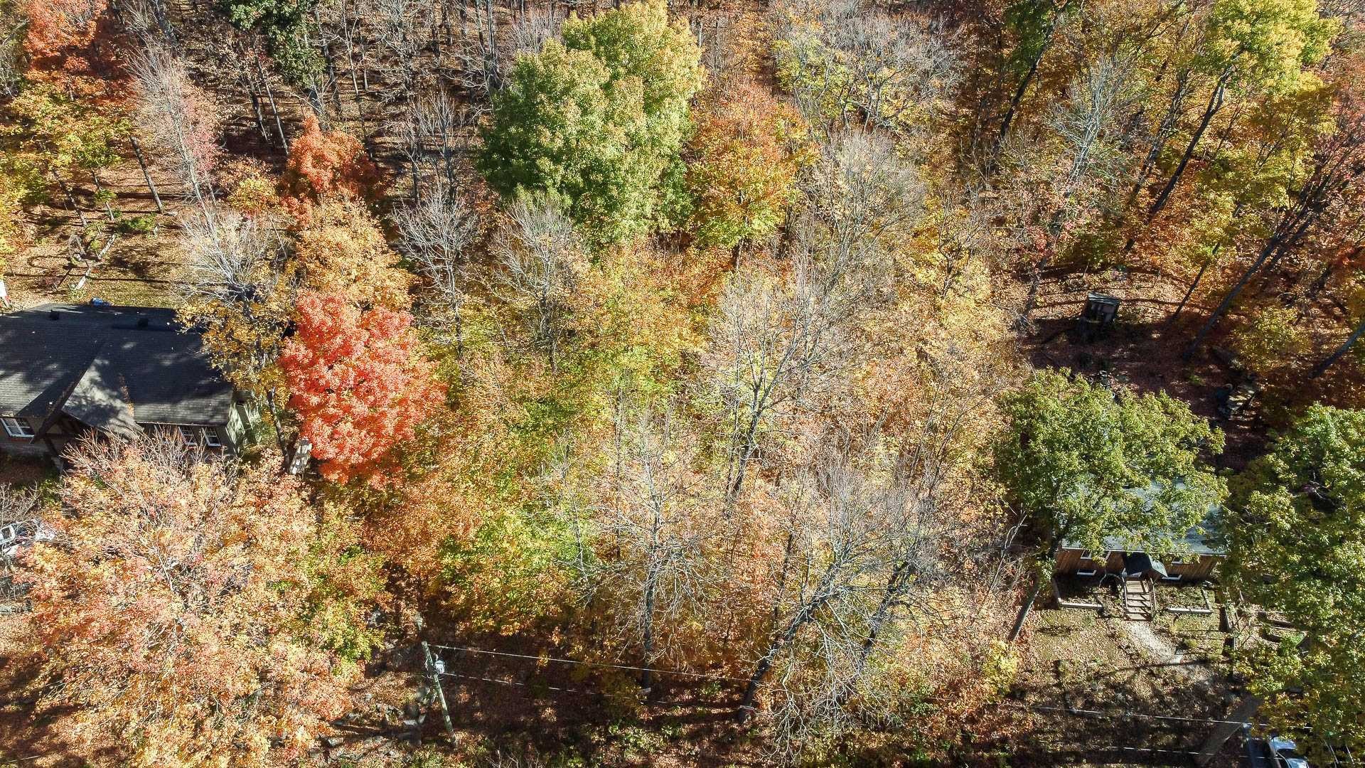 









1


Ch. des Lièvres

,
Montebello,







QC
J0V1L0

