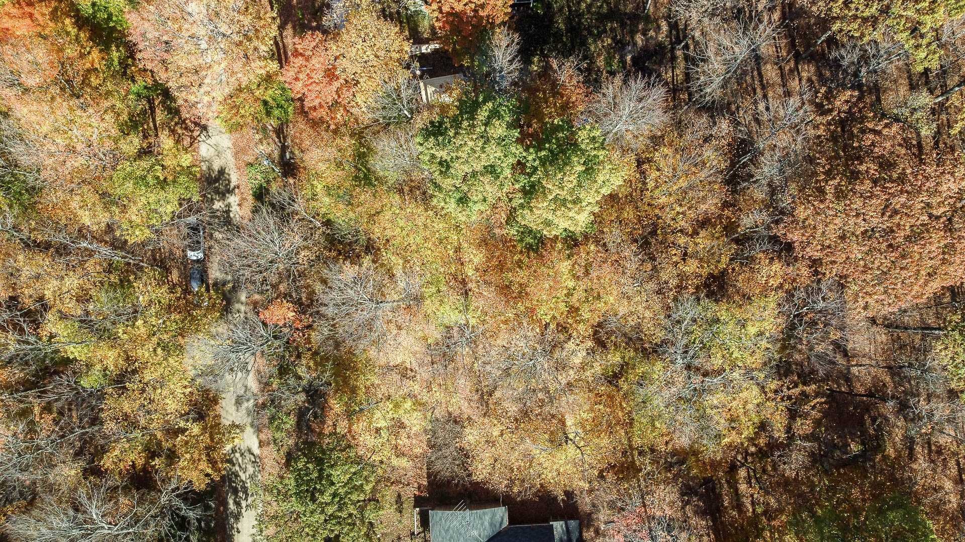 









1


Ch. des Lièvres

,
Montebello,







QC
J0V1L0

