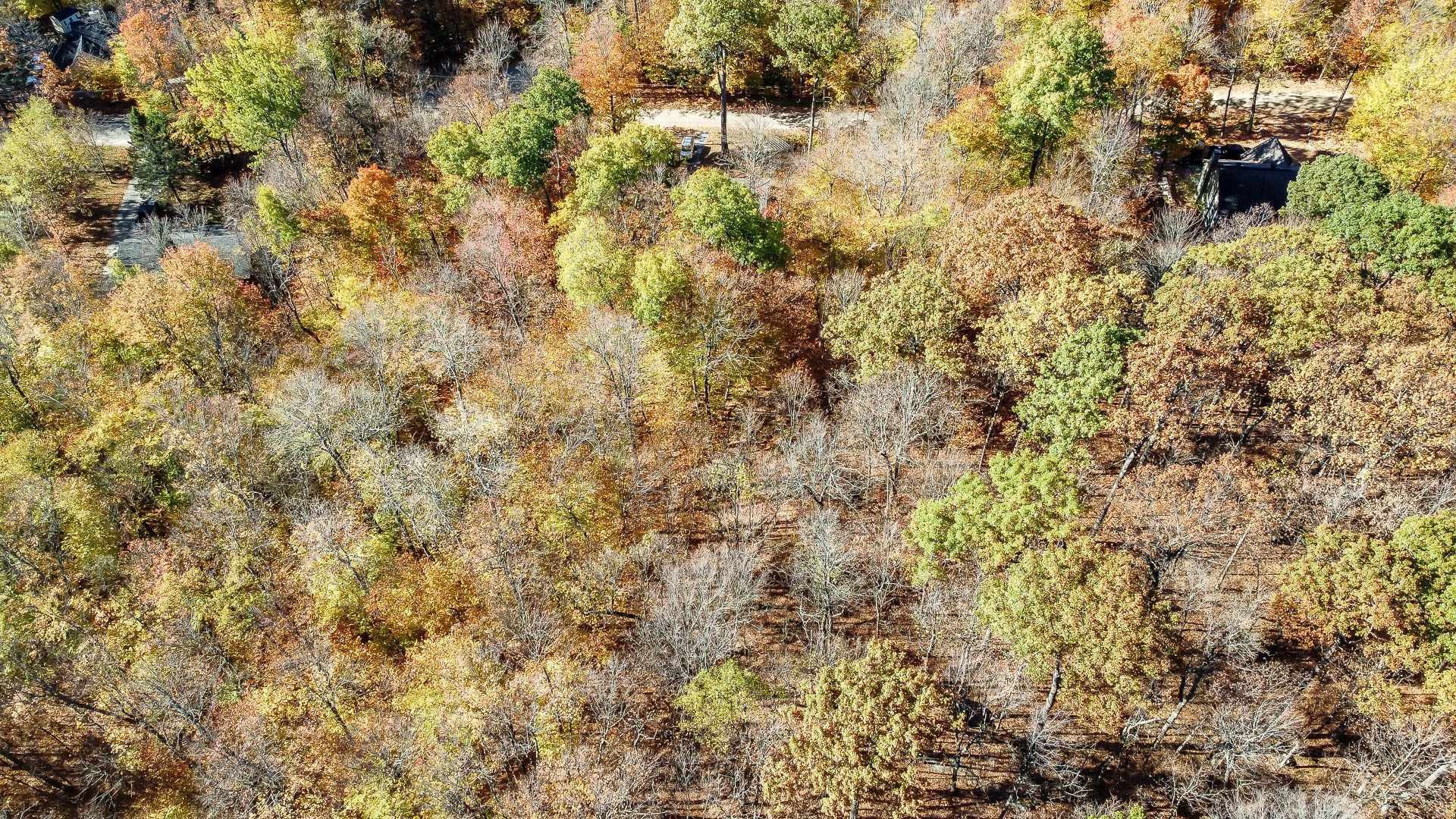 









1


Ch. des Lièvres

,
Montebello,







QC
J0V1L0

