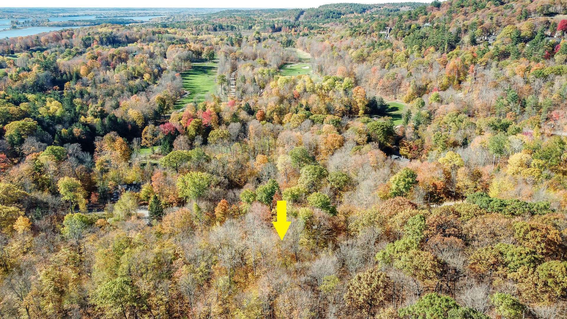 









1


Ch. des Lièvres

,
Montebello,







QC
J0V1L0

