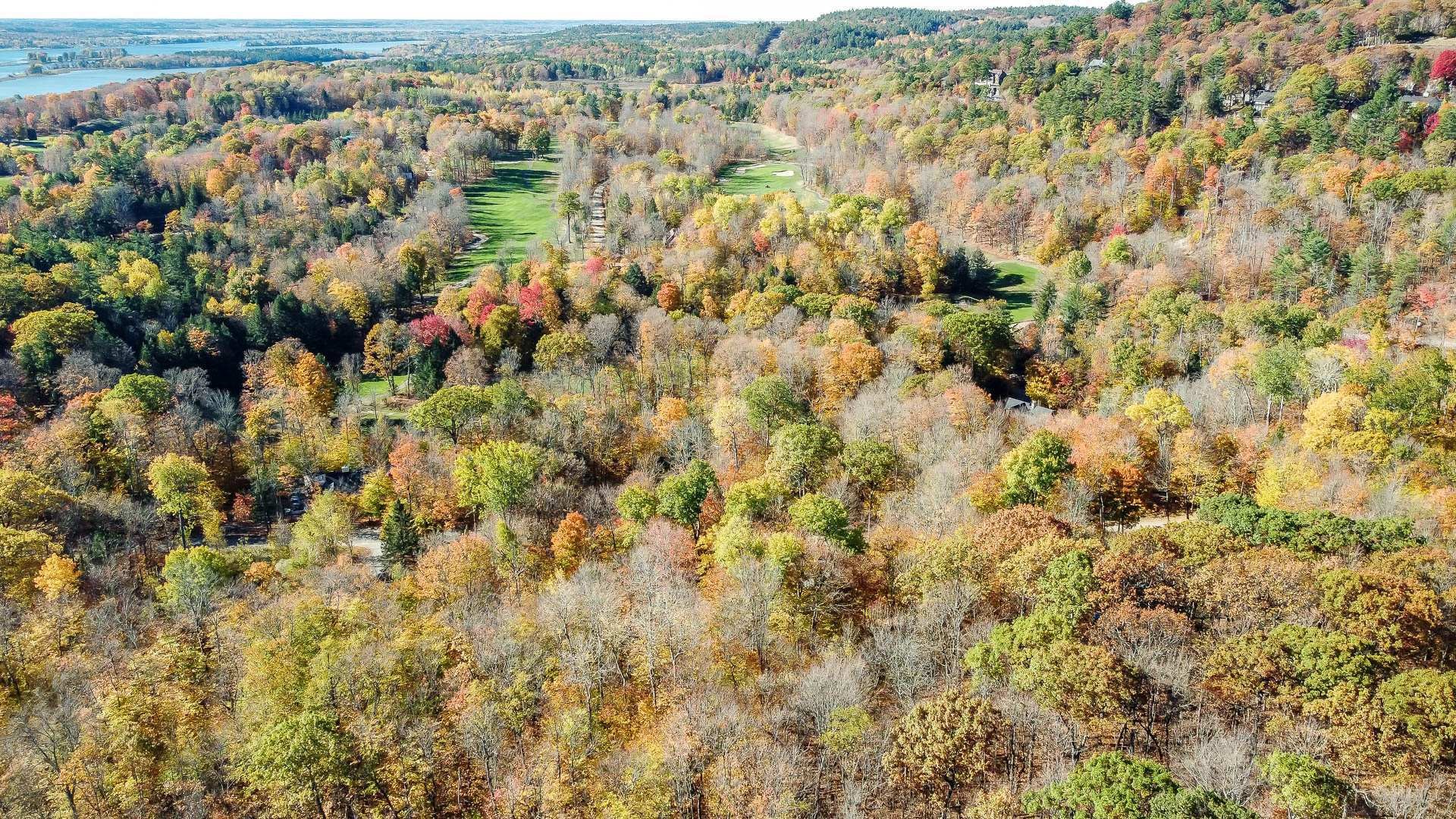 









1


Ch. des Lièvres

,
Montebello,







QC
J0V1L0

