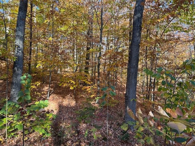 









1


Ch. des Lièvres

,
Montebello,







QC
J0V1L0

