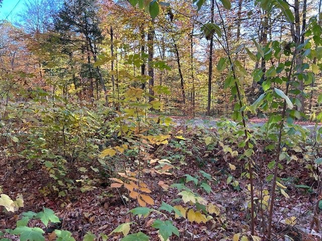 









1


Ch. des Lièvres

,
Montebello,







QC
J0V1L0

