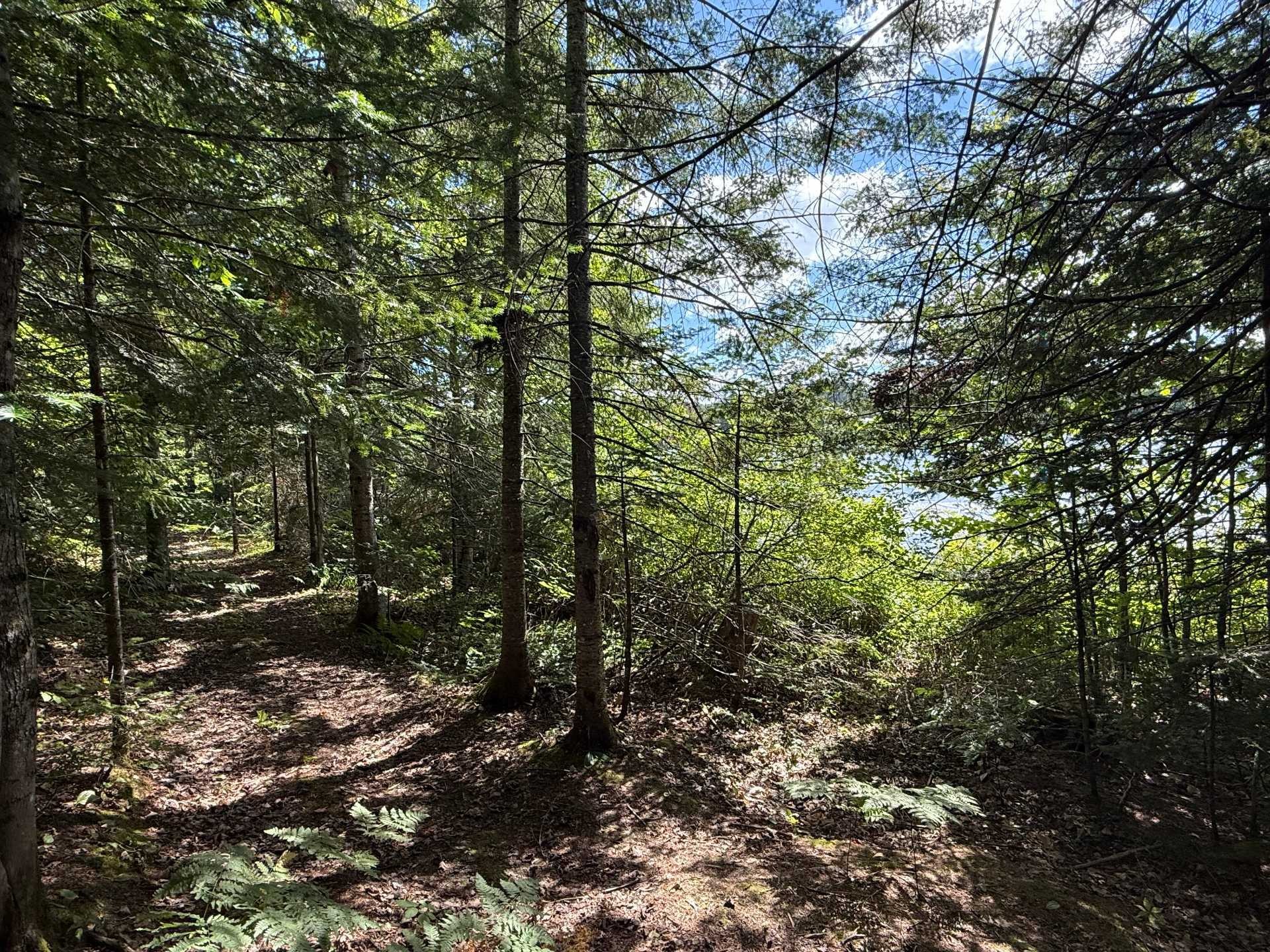 









200


Ch. de Villandry

,
Saint-Adolphe-d'Howard,




QC
J0T2B0

