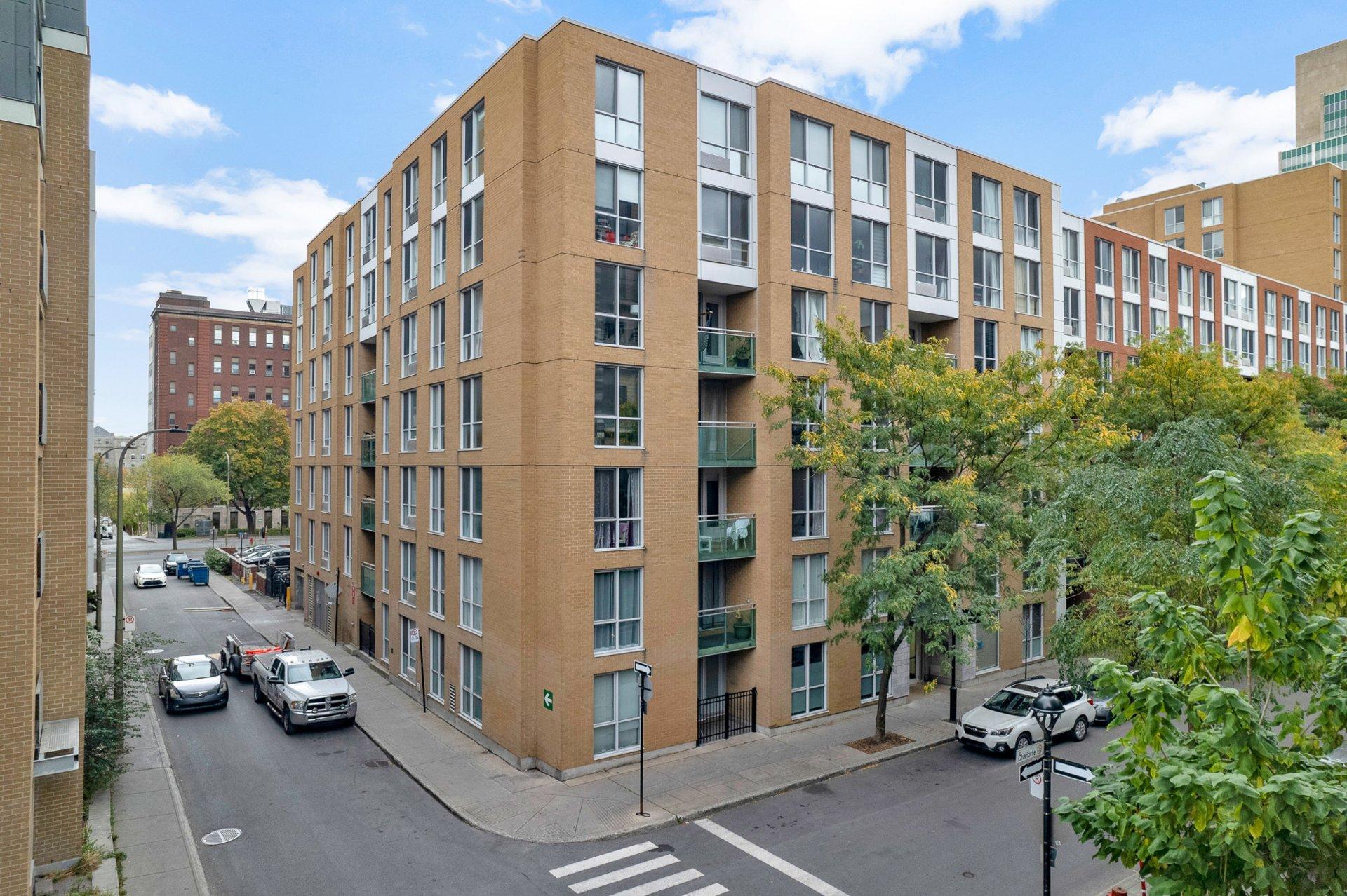 









98


Rue Charlotte

, 453,
Montréal (Ville-Marie),




QC
H2X4E2

