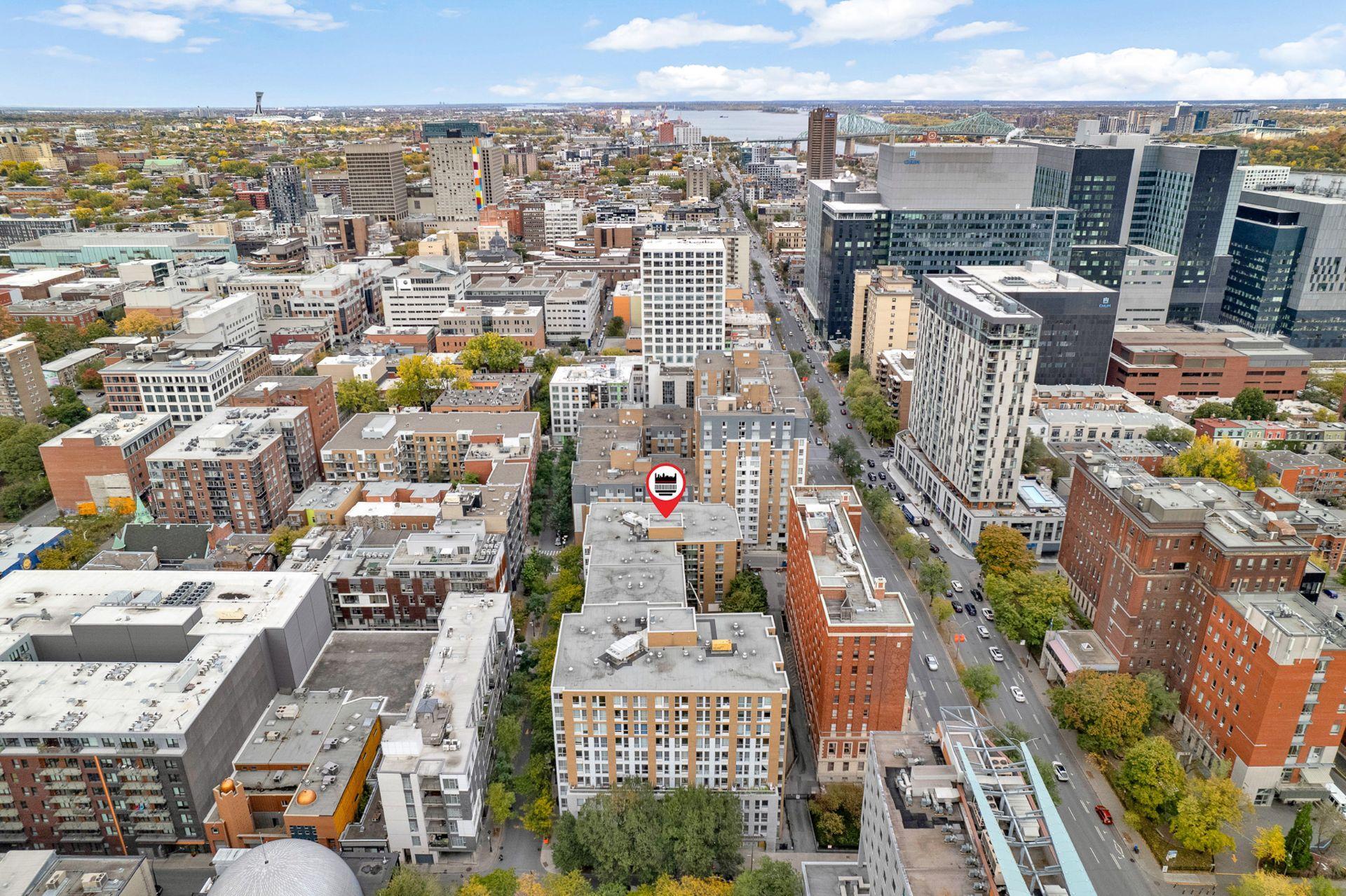 









98


Rue Charlotte

, 453,
Montréal (Ville-Marie),




QC
H2X4E2

