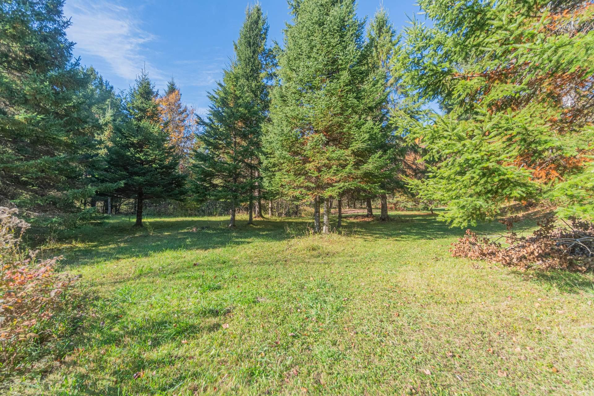 









3655


Route 117

,
La Conception,




QC
J0T1M0

