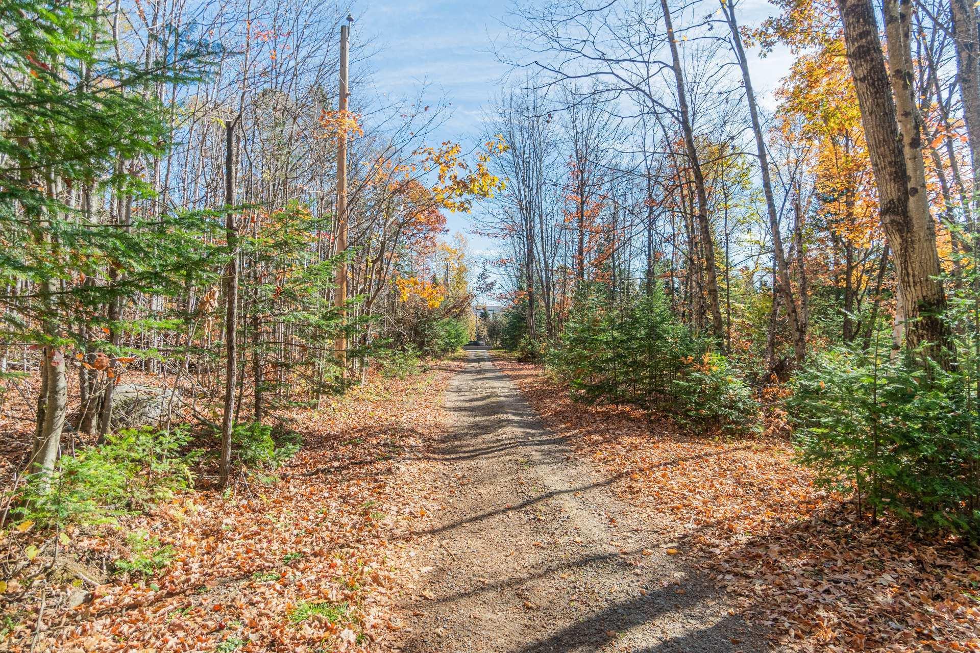 









3655


Route 117

,
La Conception,




QC
J0T1M0

